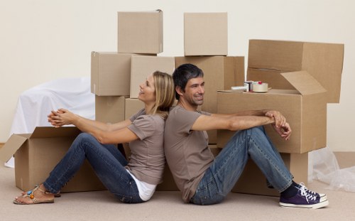Assorted packing materials for fragile and general household items